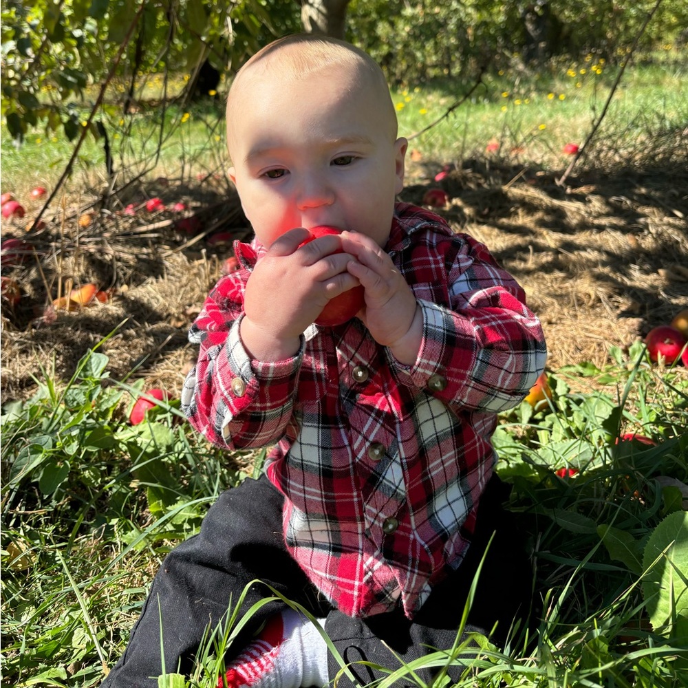 Meet your Posher, The Littles Edit